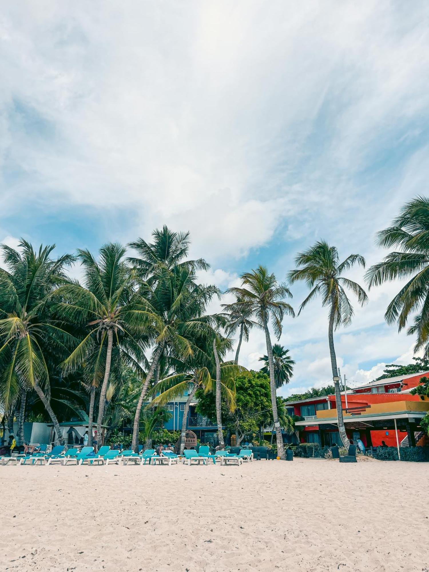 Hotel Cocoplum Beach San Andres  Bagian luar foto